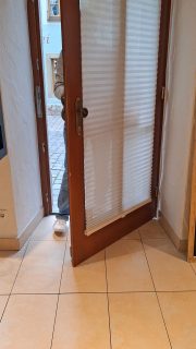 Neue Deko im Plönlein. Ich habe wieder gebastelt!
Gefällt sie euch? Lasst eibfach ein Herz da!

#diy #rothenburgobdertauber #dekoration #muttertag 
@rothenburgtourism